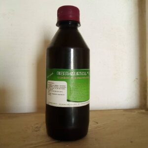 EQUI-MENTAL LE MESSIE